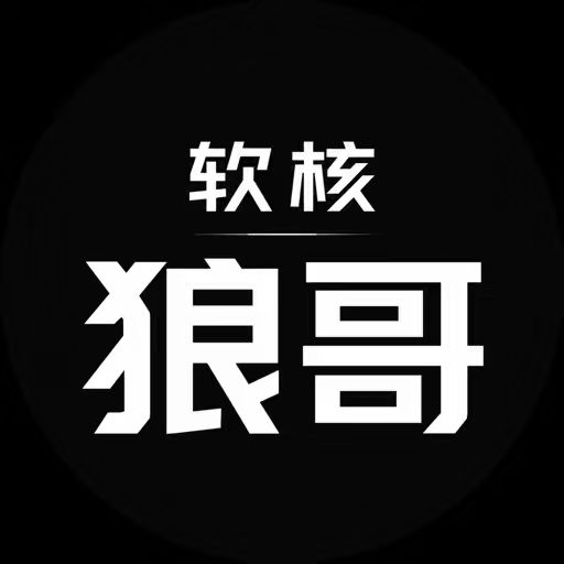软核狼哥